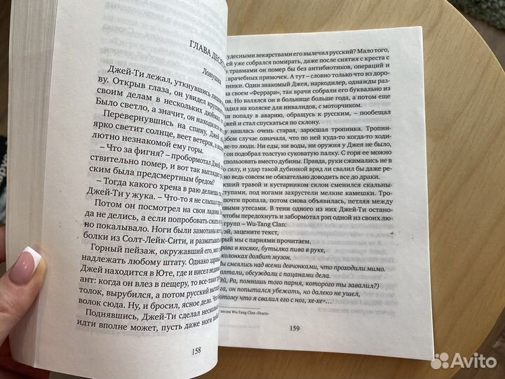 Книга Этногенез Армагедон