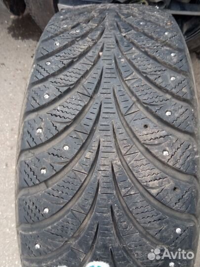 Sava Eskimo Ice 205/55 R16