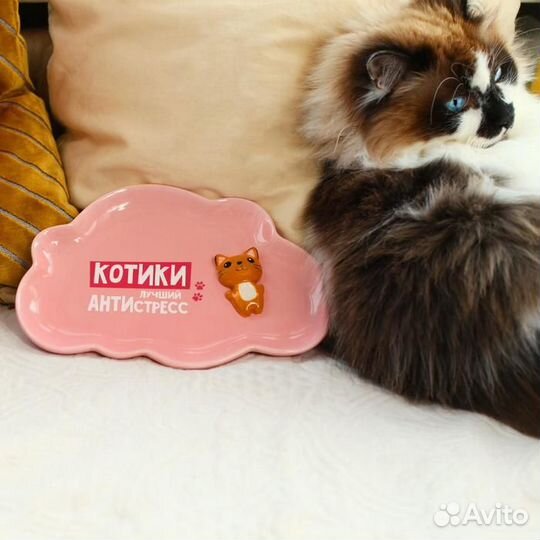 Тарелка детская плоская «Котики», 22,5 х 15,5 см