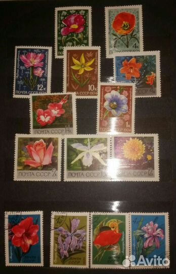 Марки с альбомами