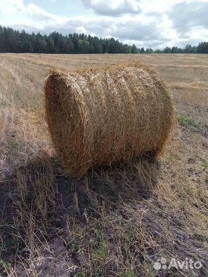 Продам солому в рулонах
