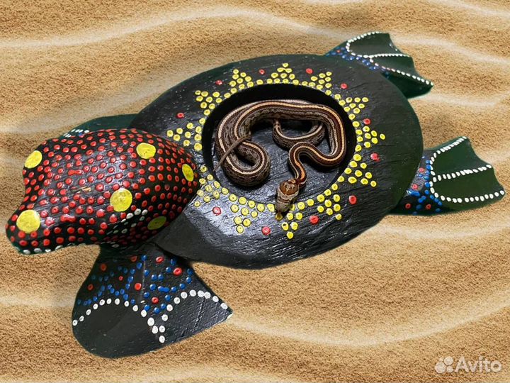 Малышня маисовых полозов