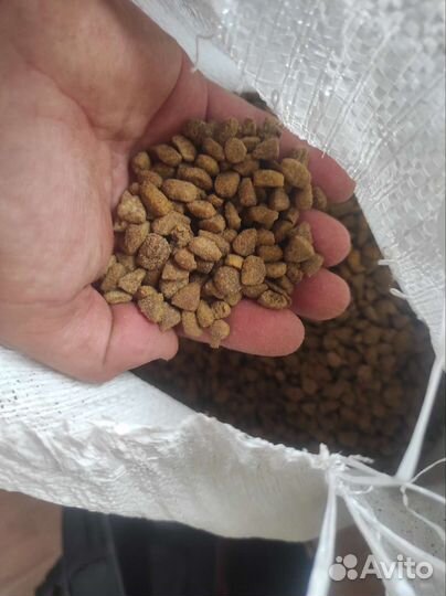 Премиум корм для кошек