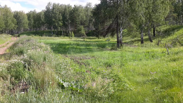 Участок 12 сот. (СНТ, ДНП)