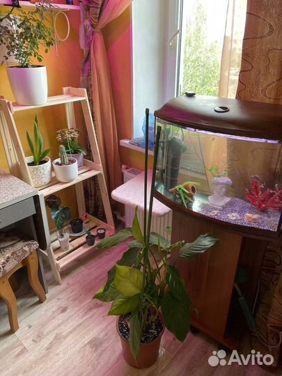 Аквариум с тумбой