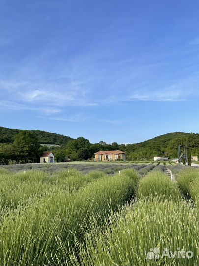 Индивидуальные экскурсии в Абрау-Дюрсо