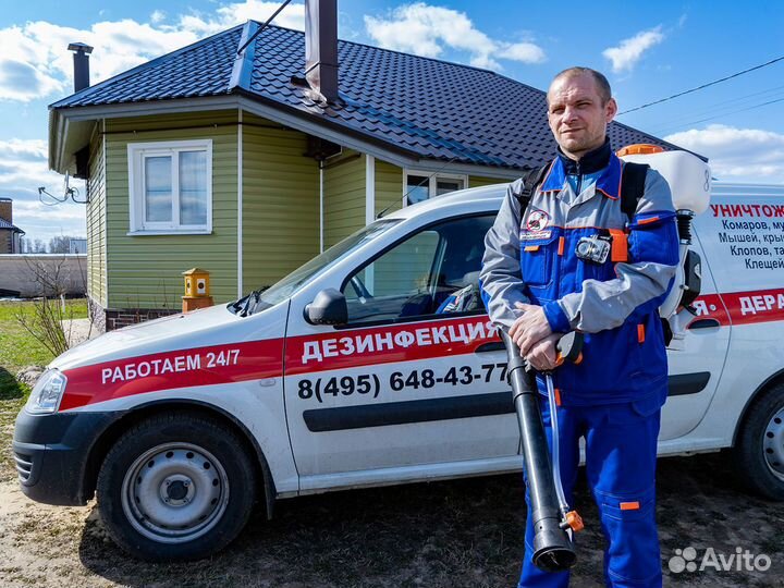 Уничтожение клопов, тараканов, крыс, дезинфекция