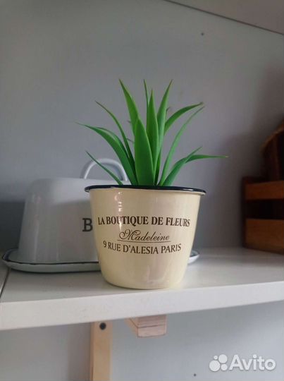 Эмалированная миска, кашпо