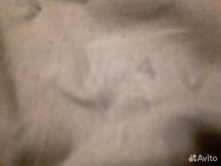 Противогазная сумка гдр 1974 года