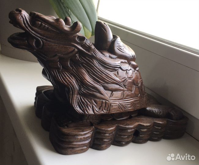 Драконовая черепаха с черепашонком