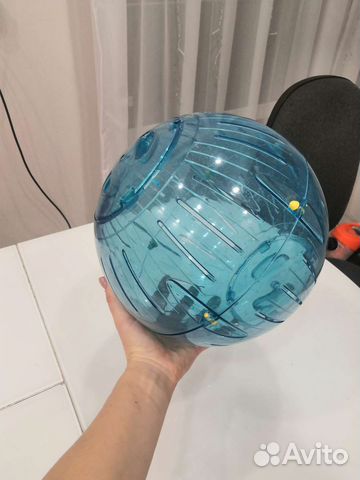 Шар для белки дегу или хомяка