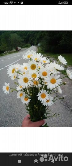 Букет из ромашек