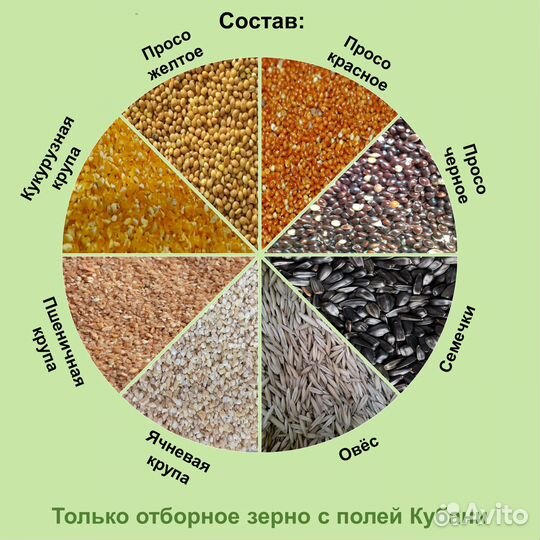 Корм Пташка для уличных птиц зерновой 500 гр