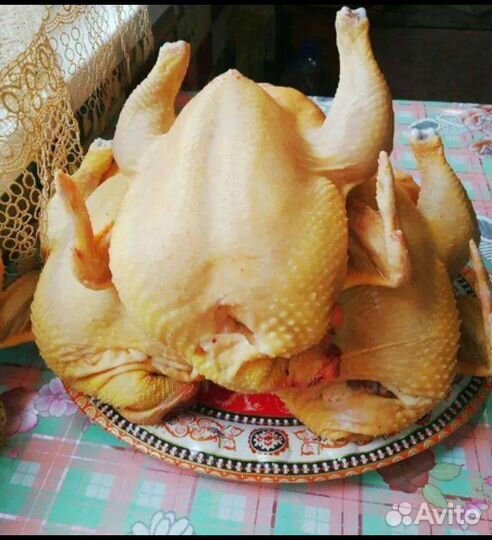 Мясо домашней птицы