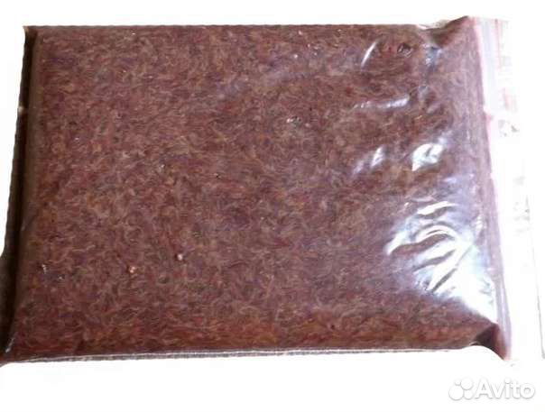 Аквариумные рыбки