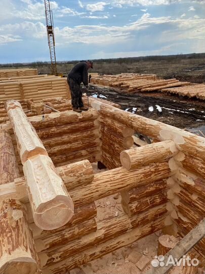 Сруб для бани из бревна