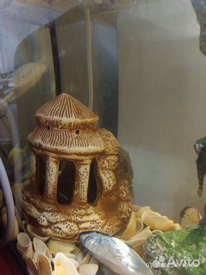 Аквариум с рыбками