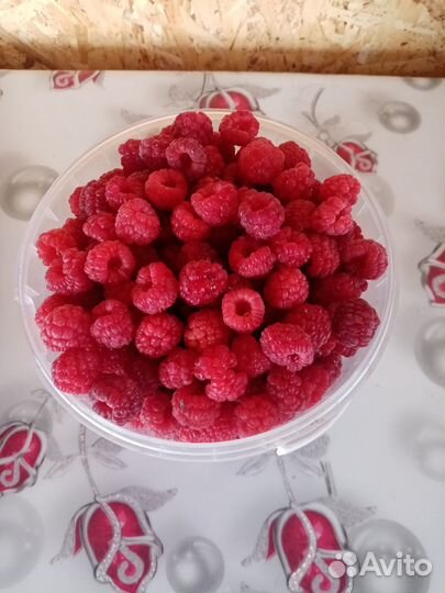 Продам малину
