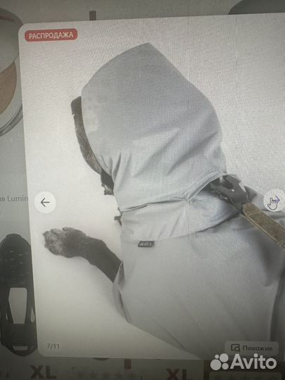 Дождевики для собак средних и крупных пород