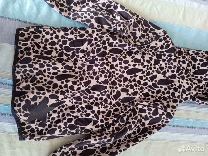 Softshell Molo и Lassie