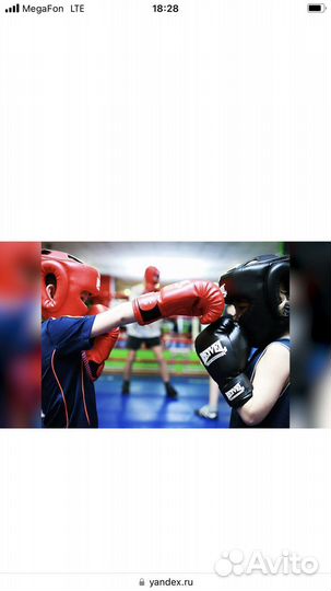 Тренирер по мма