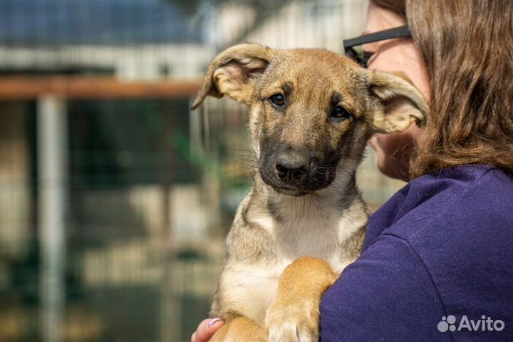 Маленькая красавица Хильда в самые добрые руки