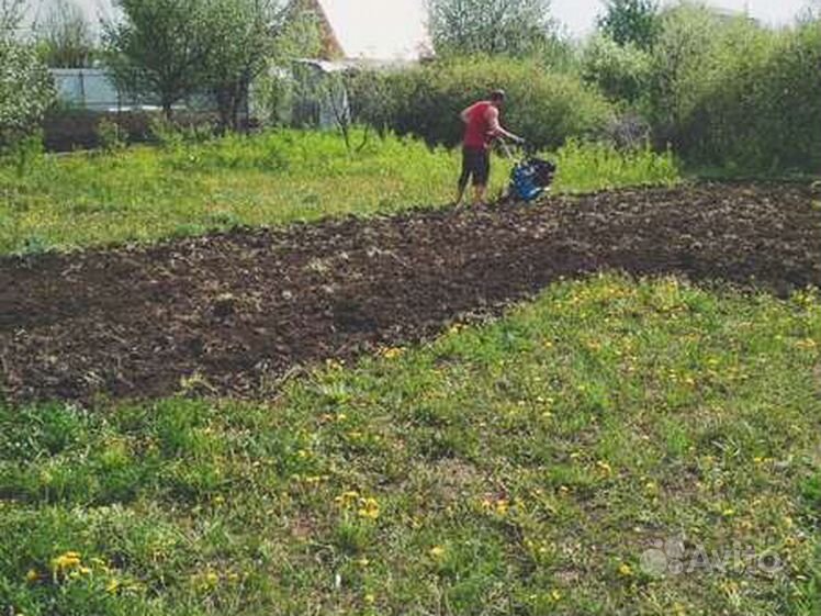 Нижнекамск фермеры 1. Фермеры Нижнекамска. Город Нижнекамск фермеры номер 1.