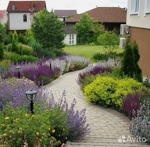 Растения для склонов в ландшафтном дизайне