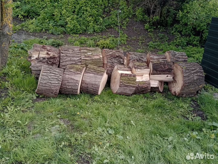 Дрова вербы