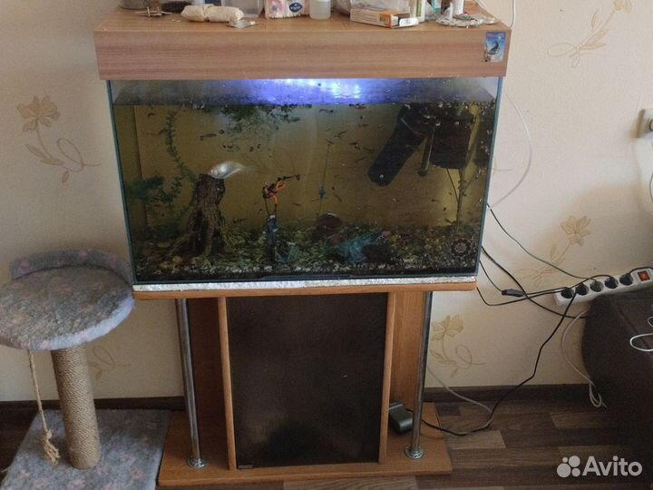 Аквариум с тумбой