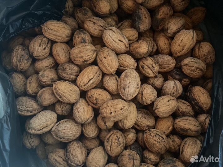 Грецкий орех