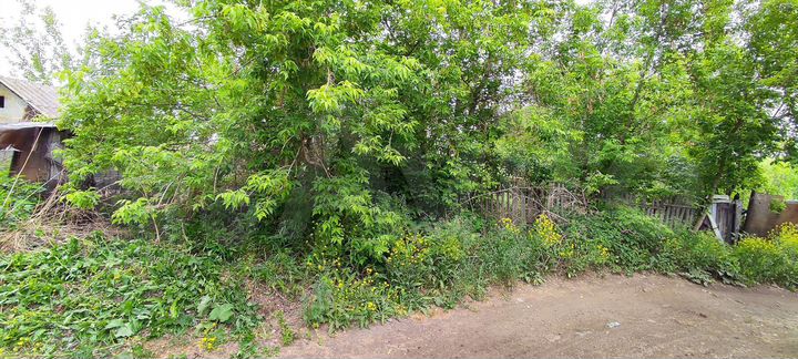 Участок 5,5 сот. (СНТ, ДНП)