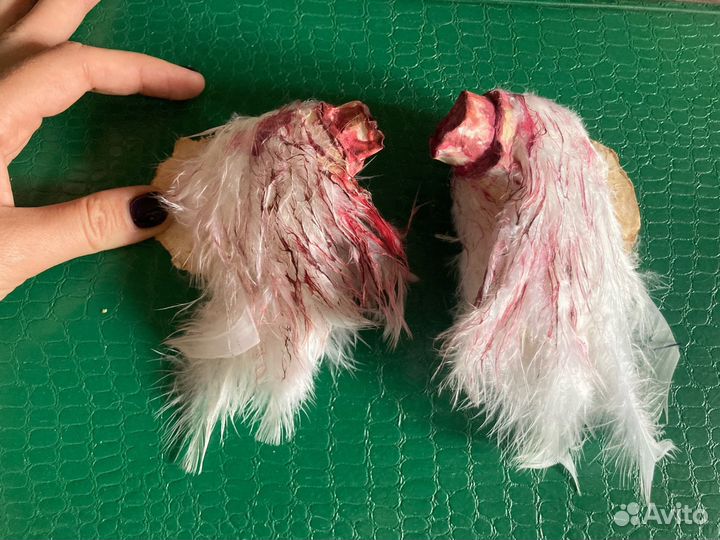 Реквизит для фотосессии сломанные крылья ангела