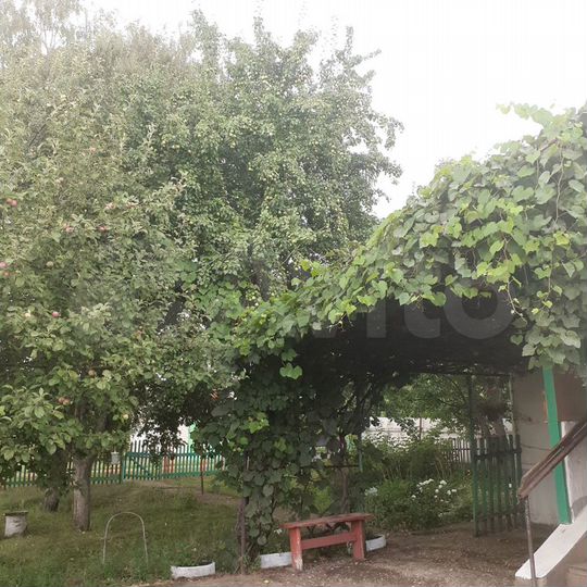 Дом 60 м² на участке 6 сот.