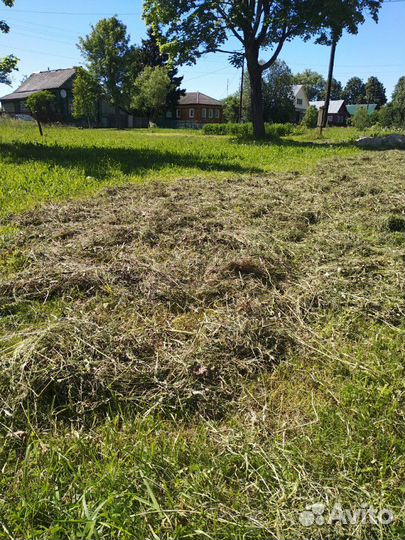 Ароматное Сено для домашних животных свежак