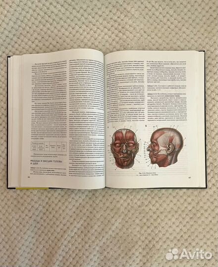 Практикум по анатомии человека, часть первая