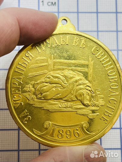 Золотая медаль за свиноводство