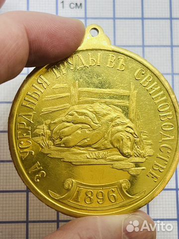 Золотая медаль за свиноводство