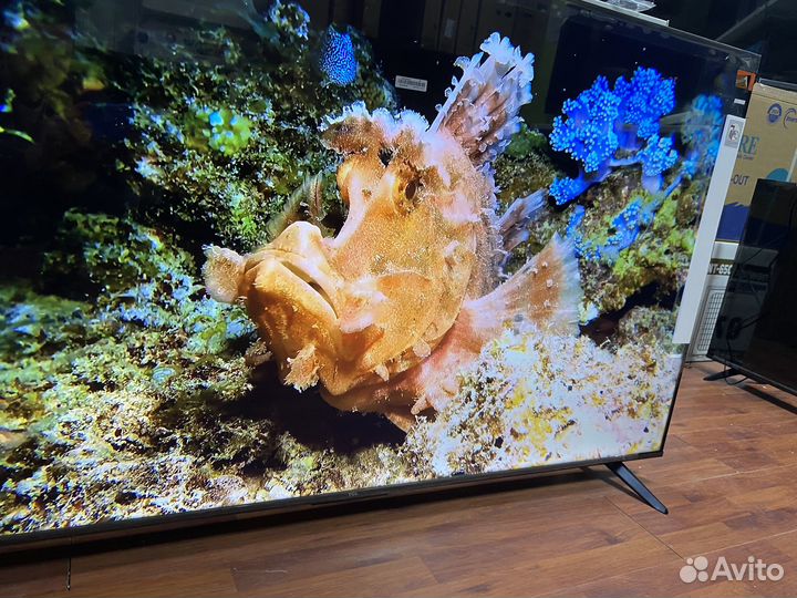 Заряженный TCL 50 с последним Android 1300 каналов