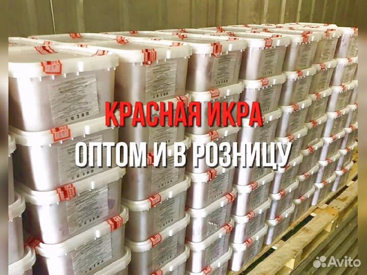 Икра Кеты опт