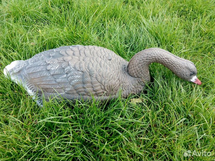 Чучела гусей для охоты