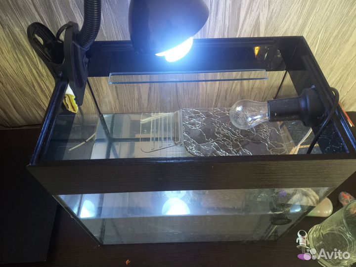 Акватеррариум для черепахи
