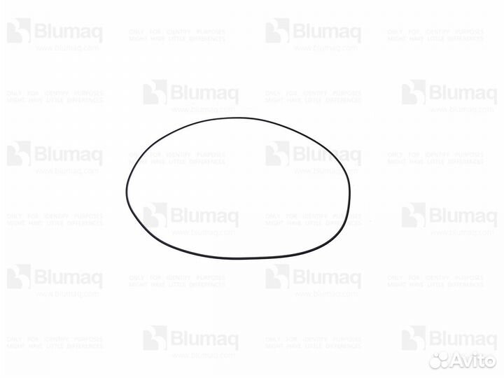 Кольцо круглого сечения