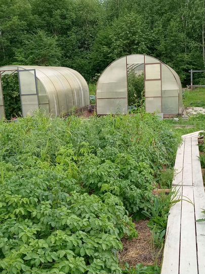 Дача 16 м² на участке 15 сот.