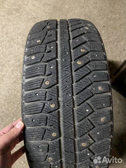 Continental ContiWinterViking 2 205/50 R17