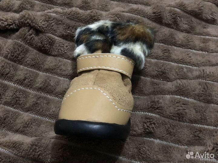 Ботинки для собак