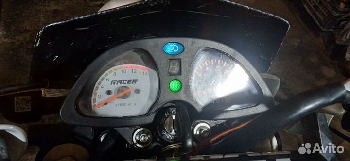Racer Panter 250