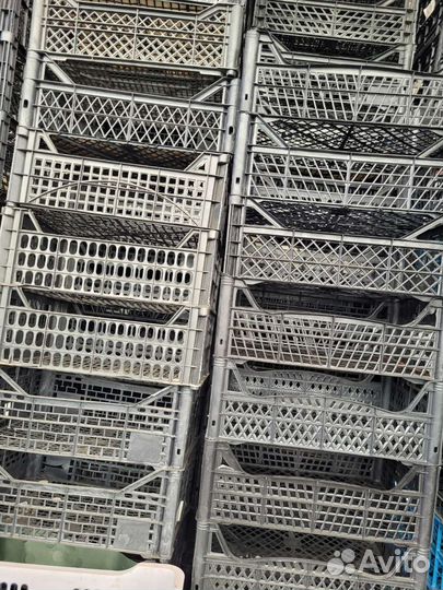 Пластиковые ящики бу