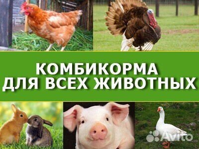 Комбикорм, зерно, добавки для с/х птиц и животных