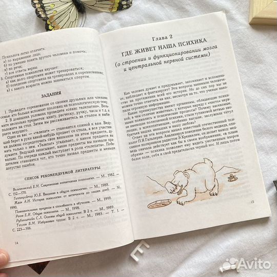 Книга Психология познания Рогов Е.И